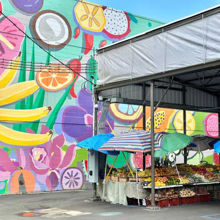 How to Spend One Perfect Day in Hilo, Hawaii