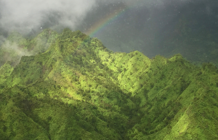 best time helicopter tour kauai