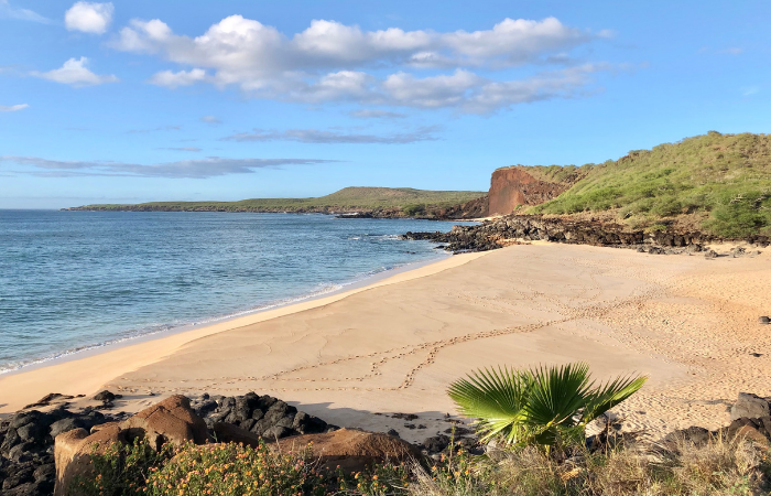 travel to molokai from maui