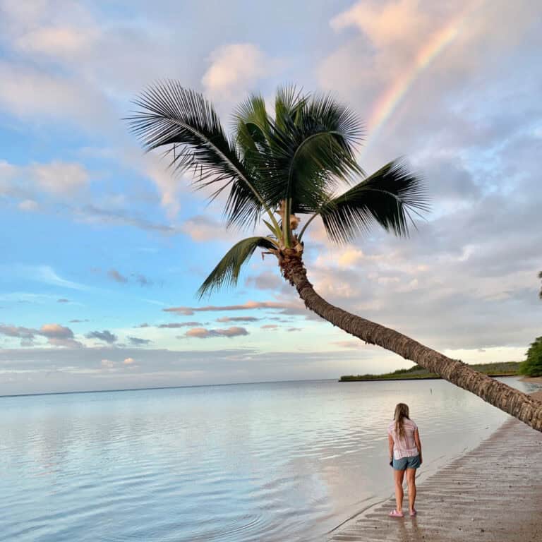 This Hawaiian Island Has No Traffic, No Chains, and No Crowds – But Is It Worth the Trip?