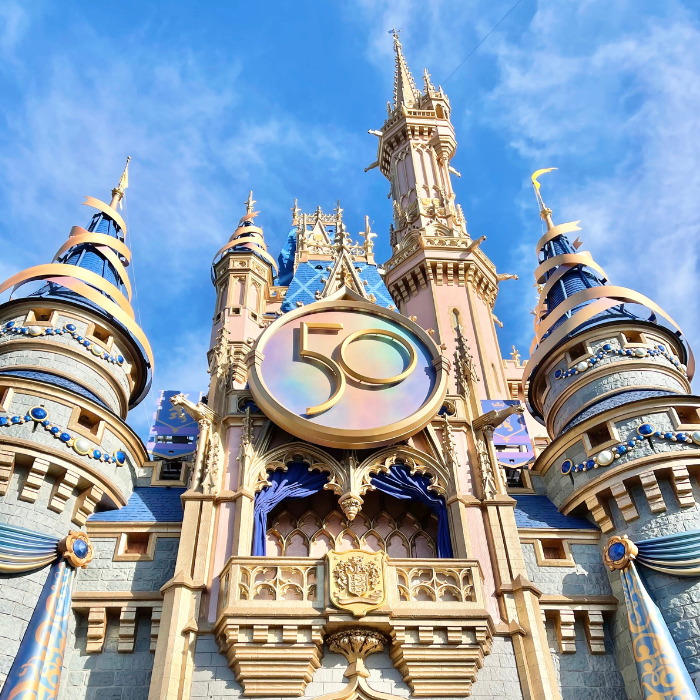 Planning a Trip to Walt Disney World? Read This First…