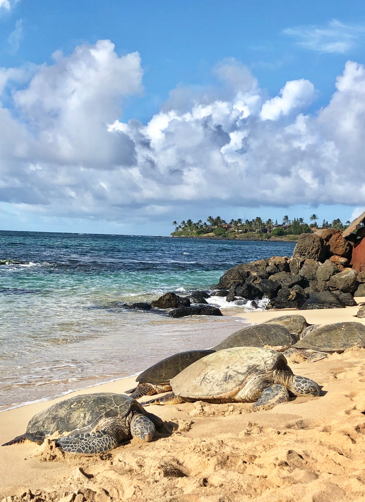 hawaii low tourist season