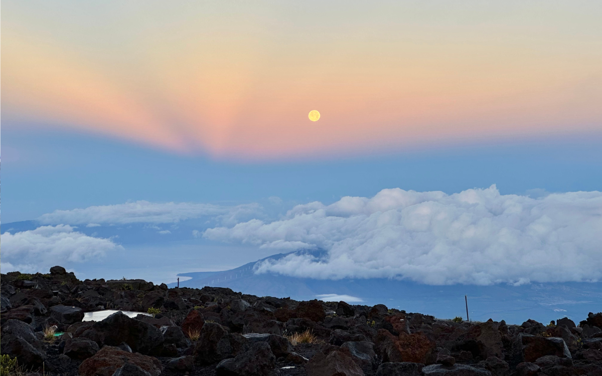 travel to maui