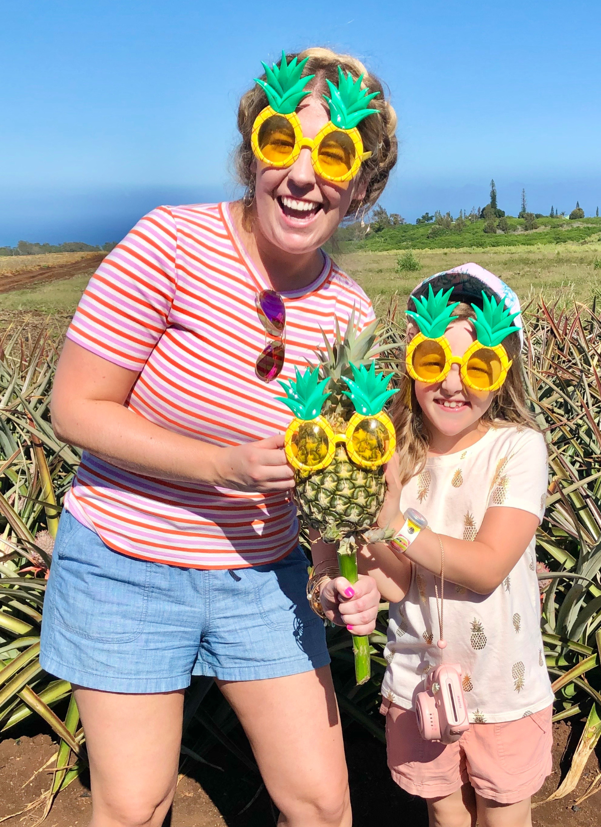 pineapple plantation tour maui