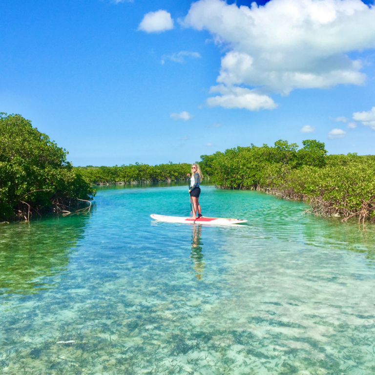 Paddleboarding the Mangroves in Turks & Caicos with SUP Provo