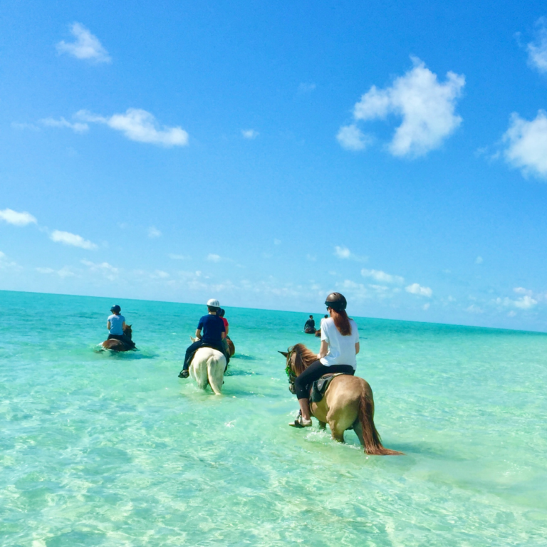 15 Things to Do in the Turks and Caicos