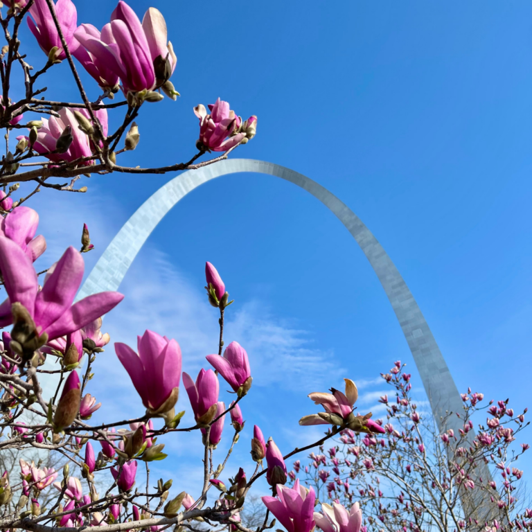 Meet Me in St Louis: 7 Things to Do at Gateway Arch National Park