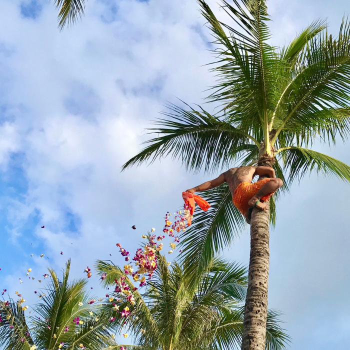 oahu travel videos