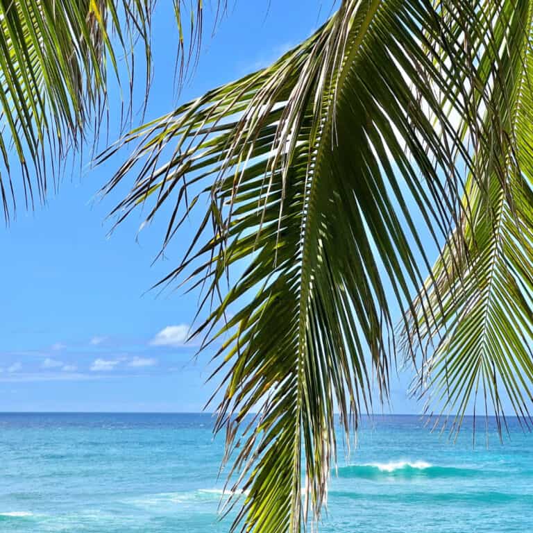 Oahu for First-Timers: The Foolproof 5-Day Itinerary That Hits Every Highlight