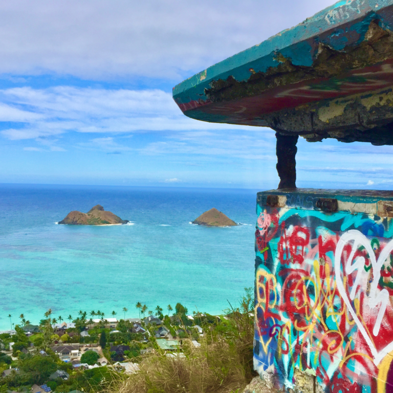 8 Easy Hikes on Oahu That Are Not Illegal or “Extremely Dangerous” ; )