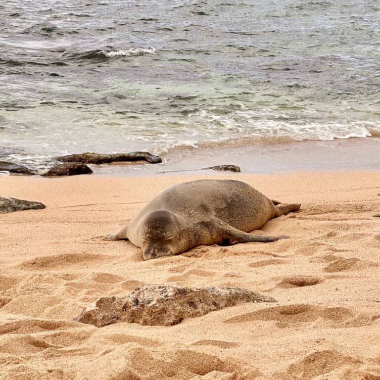 Forget Waikiki…These 9 Hidden Oahu Spots Will Blow Your Mind
