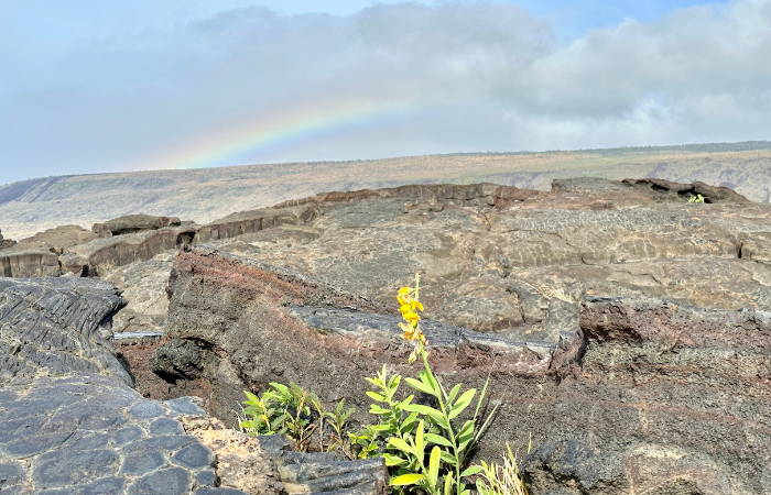 can you visit volcano national park right now