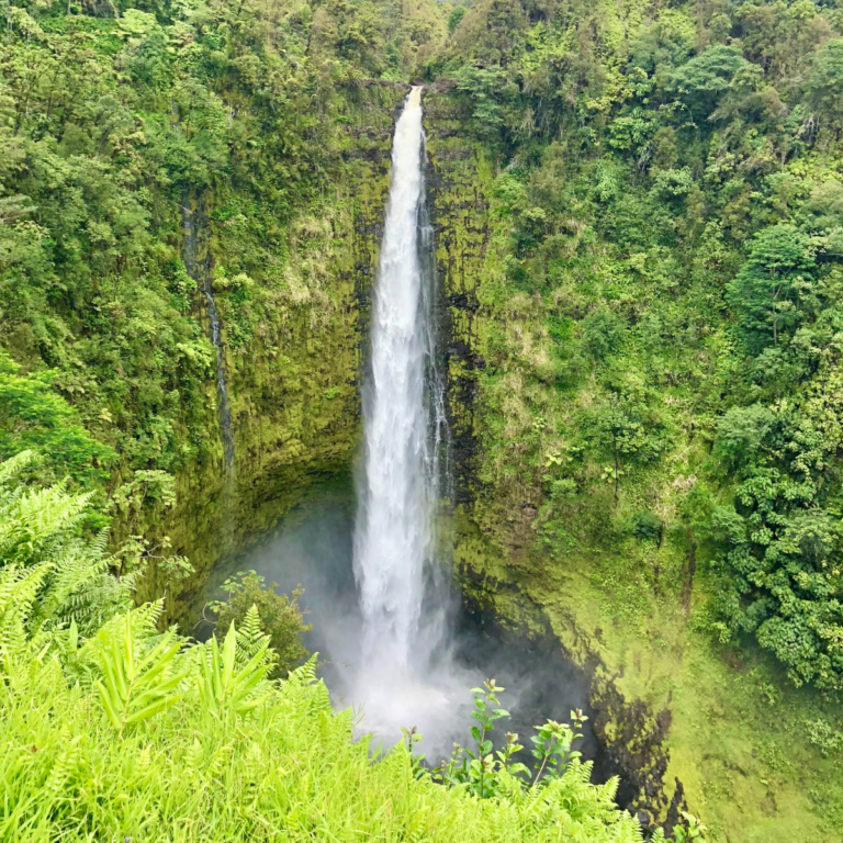 Kona vs Hilo: Beaches or Waterfalls? Here’s What You Need to Know
