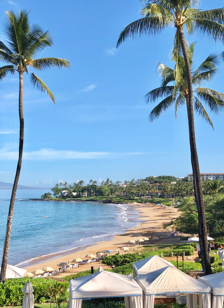 15 Best Beaches in Wailea & Kihei (+ Snorkeling Spots) HulaLand