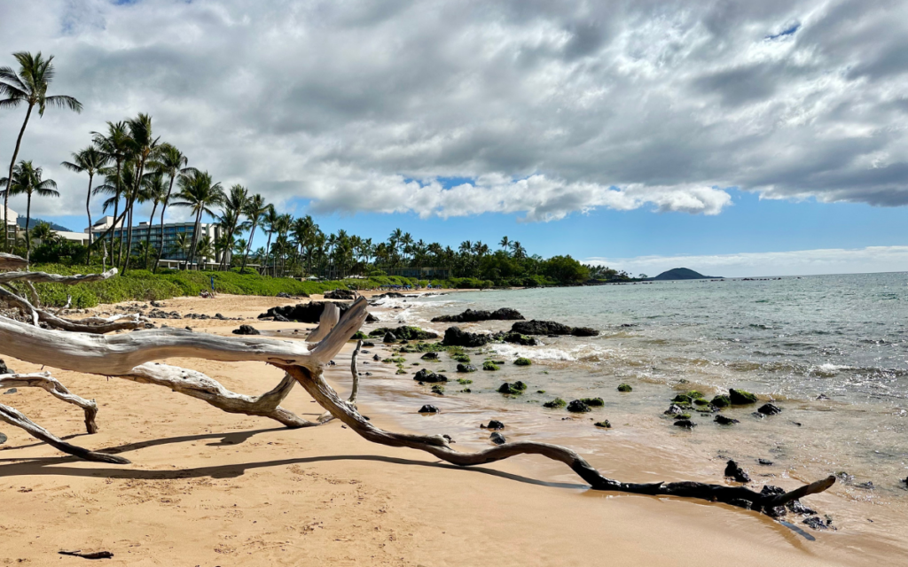 15 Best Beaches in Wailea & Kihei (+ Snorkeling Spots) HulaLand