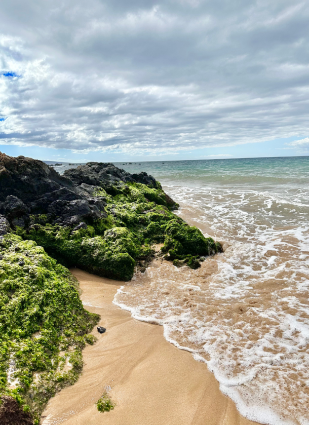 15 Best Beaches in Wailea & Kihei (+ Snorkeling Spots) HulaLand