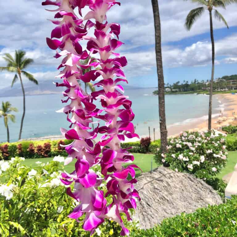 Hawaii Luxury Hotels: I’ve Stayed at More than 20 Hotels in Hawaii – These Are the Ones I Can’t Stop Thinking About