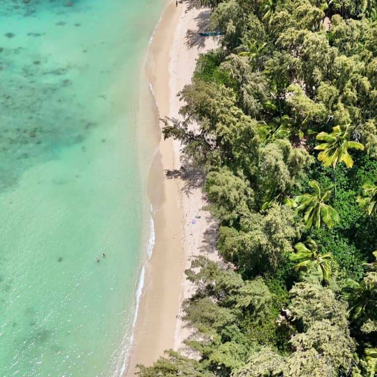 We Asked 1,000 Travelers Which Hawaiian Island Was Best – The Results Were Surprising