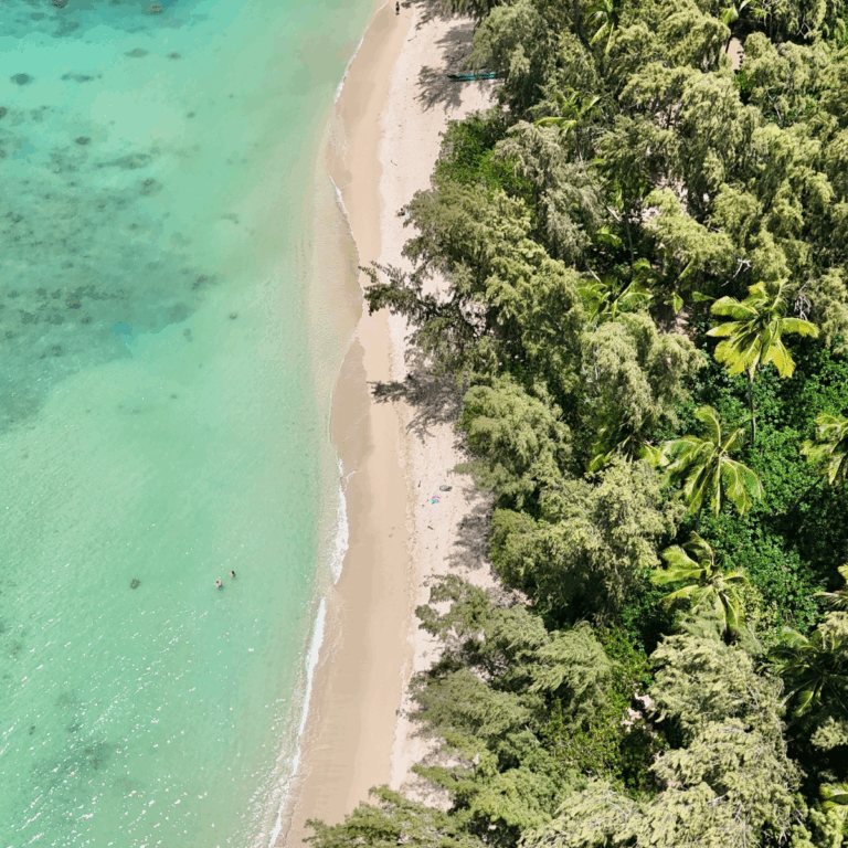 We Asked 1,000 Travelers Which Hawaiian Island Was Best – The Results Were Surprising