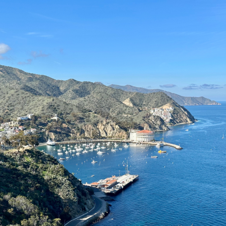 Catalina Island Day Trip Itinerary: Lobster Roll Lunches & Golf Cart Rides on America’s Riviera