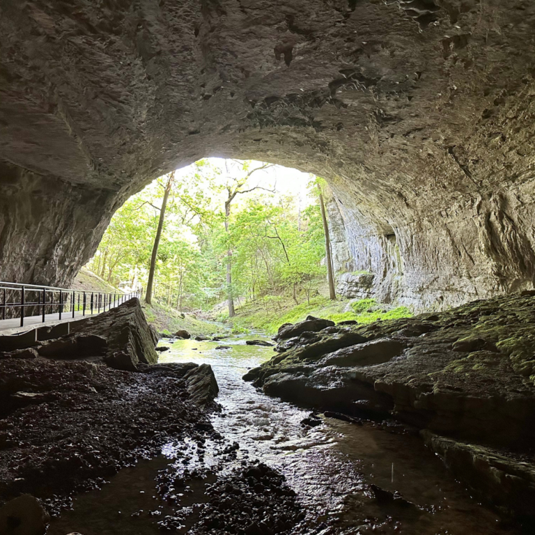A Cave for Every Occasion: The Best Caves in Springfield & Branson, MO