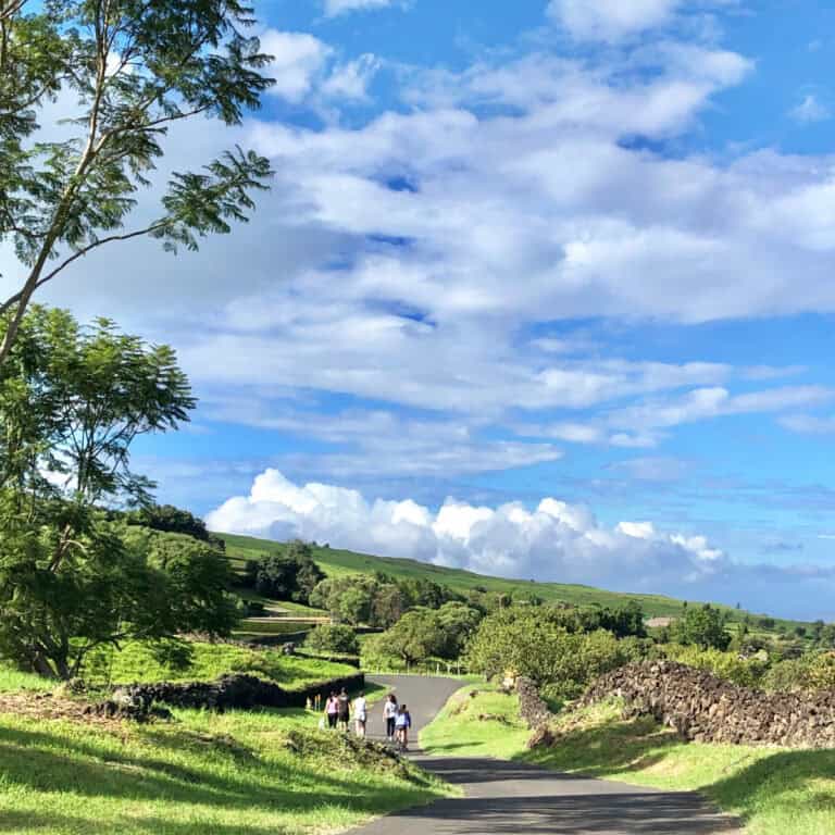 13 Things to Do in Upcountry Maui (That Most Tourists Don’t Know About)