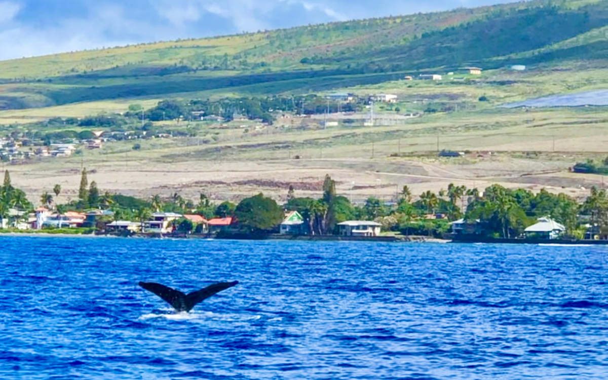 hawaii low tourist season