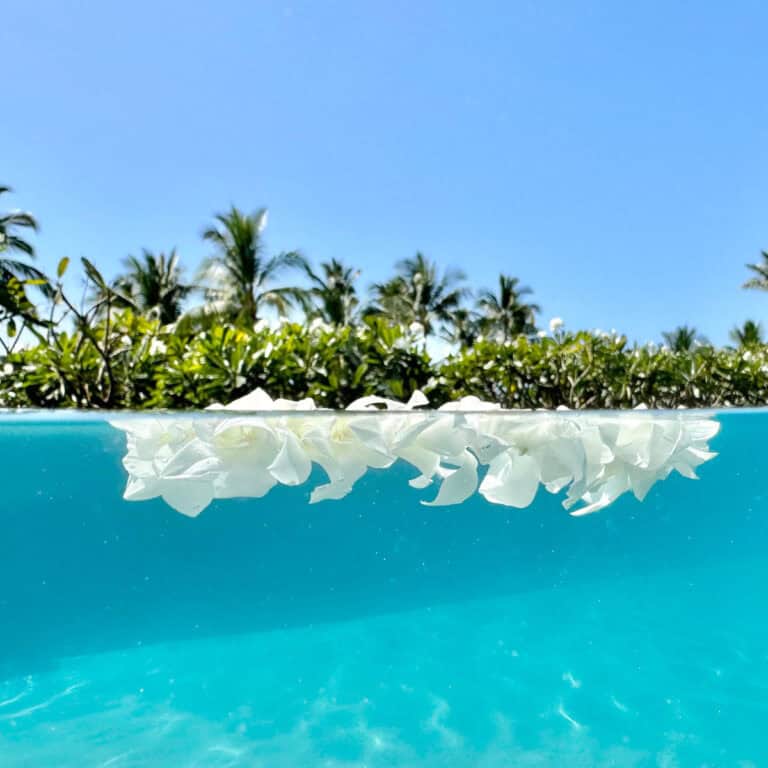 The Secret to Scoring 5-Star Hotels in Hawaii for Budget Prices