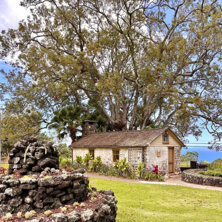 Yes, There’s a Winery in Maui—And It’s Not What You’d Expect