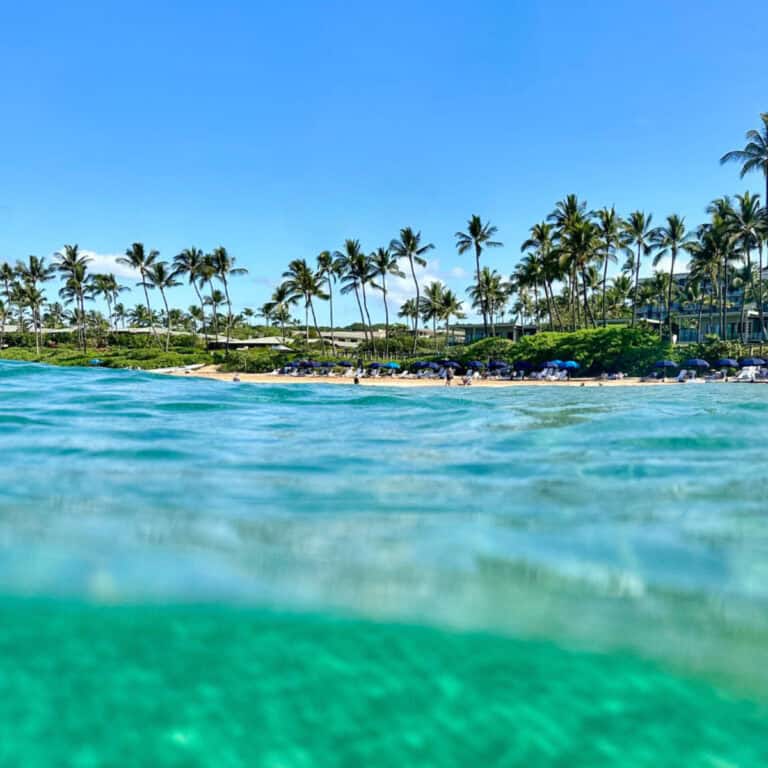 The #1 Mistake People Make Before Going to Hawaii (Hint: It’s About Reservations)