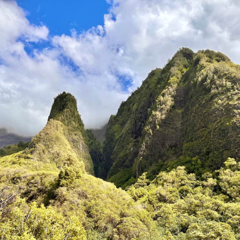 This Lush Green Valley on Maui Feels Like a Real-Life Jurassic Park