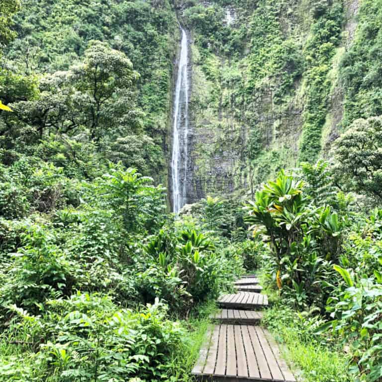 Hike through a Bamboo Forest to a 400-Ft Waterfall on Maui’s Famous Road to Hana