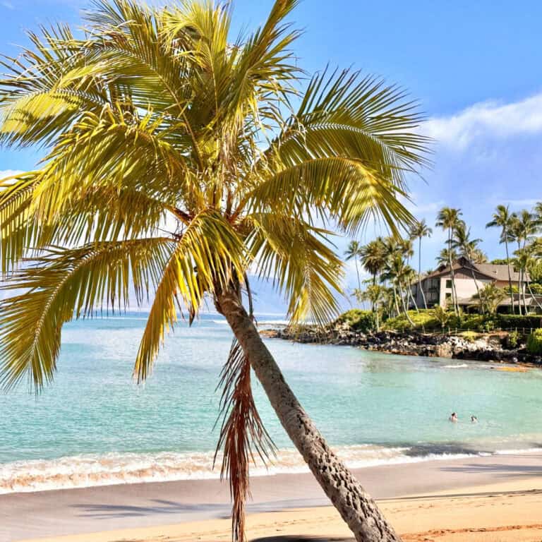 18 Best Beaches on Maui: #7 Is So Popular It Now Requires Reservations!
