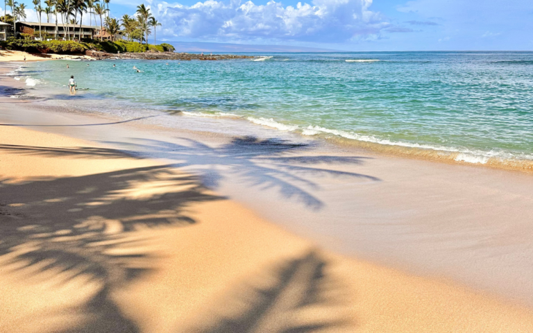 These West Maui Beaches Are 10 10 For Swimming Snorkeling And Sunsets these-west-maui-beaches-are-10-10-for-swimming-snorkeling-and-sunsets