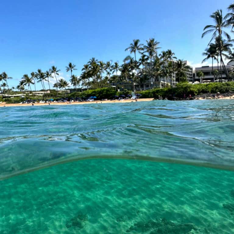 Forget the Expensive Tours – These Maui Beaches Have Snorkeling Right Off the Sand