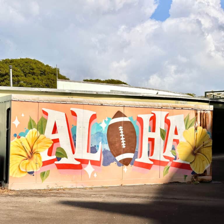 The Truth about the Aloha Swap Meet: Is It Worth It?