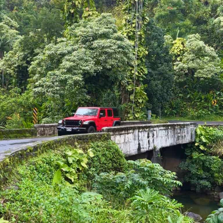 Road to Hana Tips: Everything You Need to Know BEFORE You Go