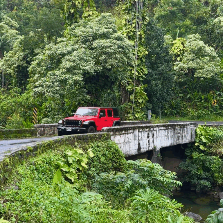 Road to Hana Tips: Everything You Need to Know BEFORE You Go