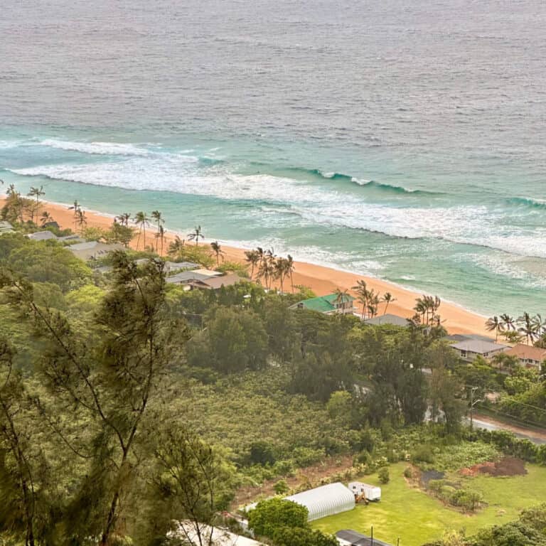 If You’re Hiking on the North Shore, Don’t Miss This Trail near the Banzai Pipeline