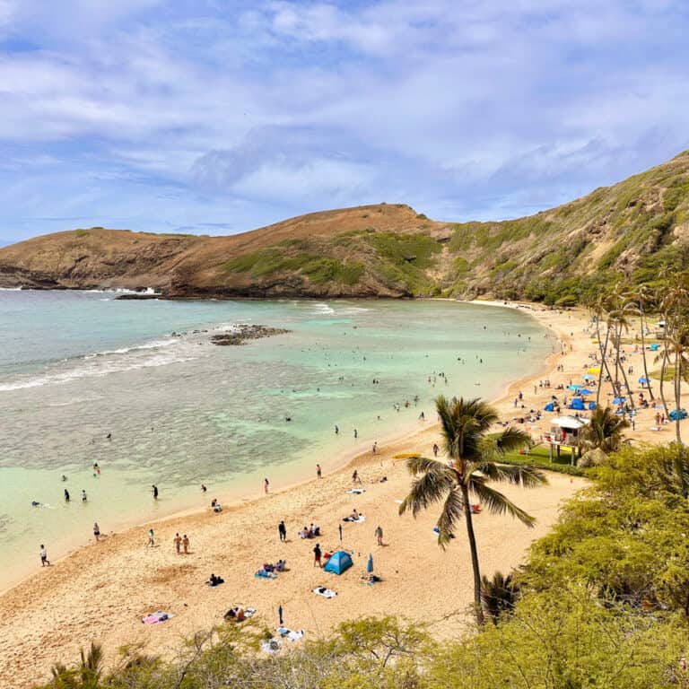 This Is the Most Popular Snorkeling Spot in Hawaii…But Is It Really Worth It?