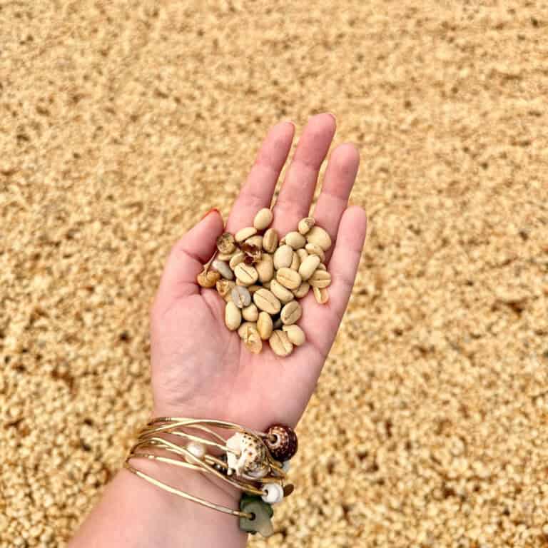 This is the Best Kona Coffee Tour in Hawaii!