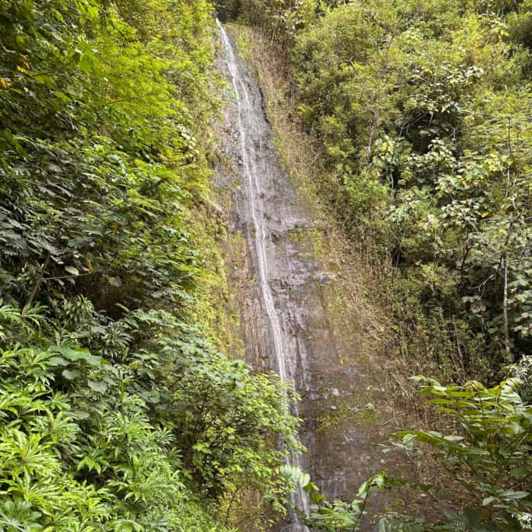 Hidden in the Lush Jungles of Oahu Is One of the Easiest Waterfall Hikes that Most Tourists Miss