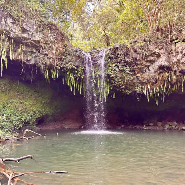 This Is the Best Place to Swim Under a Waterfall in Hawaii