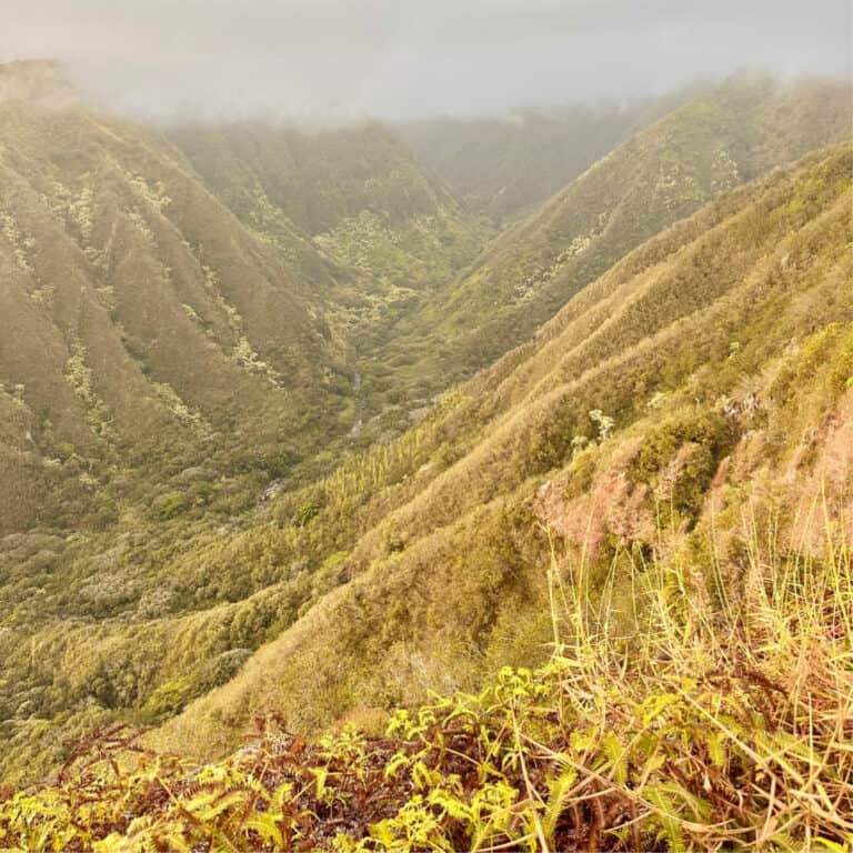 Maui’s Most Underrated Hike Isn’t on the Road to Hana