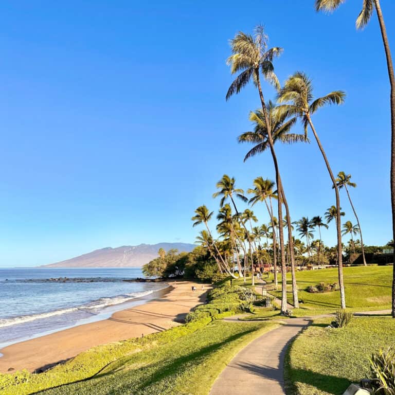The Most Beautiful Trail on Maui Isn’t Even a Hike
