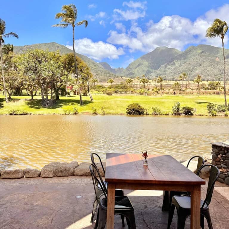 Is Maui Tropical Plantation Worth It? Kind Of. Here’s Why.
