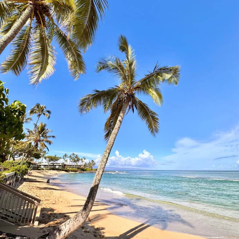 Forget Ka’anapali — This Is the West Maui Beach You Want