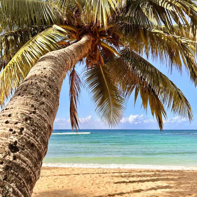 Want the Best Beach Photos on Maui? This Is the Spot.