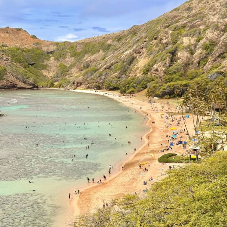 Snorkeling at Hanauma Bay? Here’s Where to Eat Nearby…
